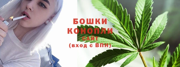 твердый Богородск